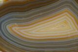 Cut & Polished Brazilian Agate With Colorful Banding #146278-1